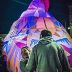 Evelyn Roth's gorgeou inflatable chicken fits right in with the riot of colour on site at Bloomin' Birds Spring Festival in Coonabarabran