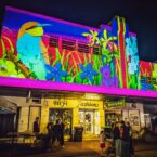 Brightly hand drawn blooms are projected onto an art deco building at Bloomin' Birds Spring Festival in Coonabarabran