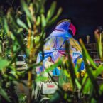 Evelyn Roth's inflatable chicken fits right in with the riot of colour on site at Bloomin' Birds Spring Festival in Coonabarabran