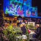 Brightly hand drawn blooms projected on an art deco building at a festival