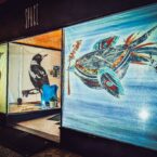 Brightly hand drawn fish adorns a window with rear projection for Bloomin' Birds Spring Festival in Coonabarabran