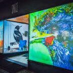 Brightly hand drawn emu rear projected on a window for Bloomin' Birds Spring Festival in Coonabarabran