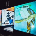 Brightly hand drawn kookaburra is rear projected on a window for Bloomin' Birds Spring Festival in Coonabarabran