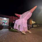 The larger than life illuminated bilby offers a sweet reminder of the native creatures that inspire regional identity